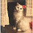 @SamayasserYasser-b8y4u