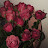 @AlaaRabea-v9c