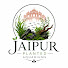 97v61YS5giU-channel-avatar-Jaipur Planted Aquariums
