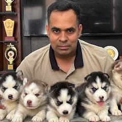 Walia Dog Kennel