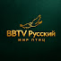 7qYXVVGKigs-channel-avatar-BBTV Русский