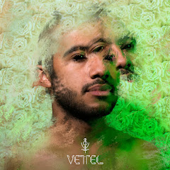 Vettel - Topicアイコン画像