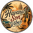 _cMbg0lx0P8-channel-avatar-Havana Son Vibes