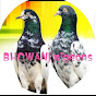 BHOWANJ Pigeons logo