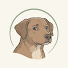 C_y1IHFUJfw-channel-avatar-Smart Pet Psychology