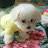 @달콩엄니