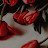 @shaumaaahmed9477