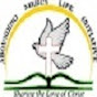 Abounding Mercy Life Initiative (AMLI) logo