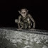 xAZ_3aRdT1w-channel-avatar-La Veille Noire