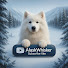 otKRAyVNu8k-channel-avatar-Alaska Whisker