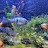 @cichlids4life700 Avatar