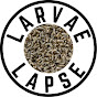 Larvae Lapse logo