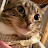 @W3irdCat
