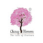 Cherry Blossom Preschool logo