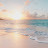 @bliss7664 avatar