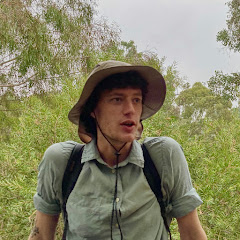 Basic Income Walk Avatar