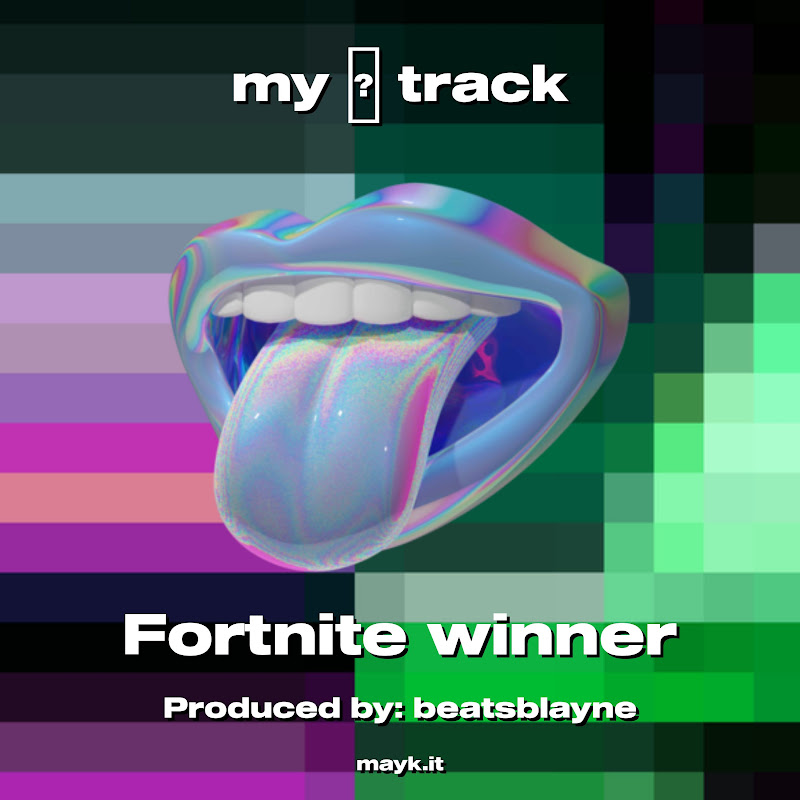 Fortnite winner - Topic