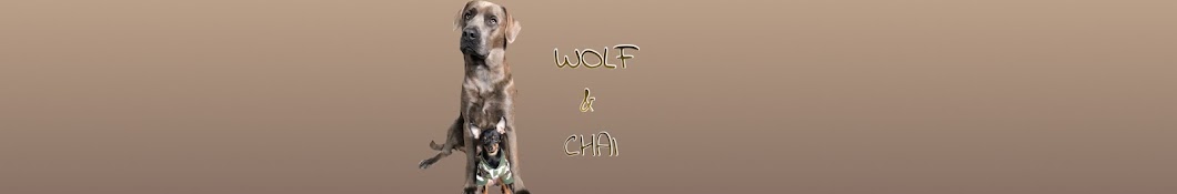 Wolf & Chai Avatar canale YouTube 