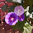 @user-fn6px1dd2p
