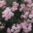 ufaRxqhqSVE-channel-avatar-사계 four seasons