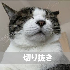 つみたてシータの部屋【切り抜き】アイコン画像