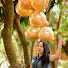 hbPtDoFstWU-channel-avatar-HACZA Oliveira 
