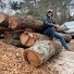 Ua5fqrpDhXc-channel-avatar-Urban Lumberjack