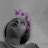 @هبةالله-ع3ق
