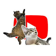 むさしとれなの猫っ晴れ劇場アイコン画像