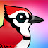 gA6idbC7mc4-channel-avatar-RedJay