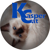 Kasper Cat