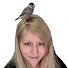 Z6ZKlmamKSo-channel-avatar-Love of Pets