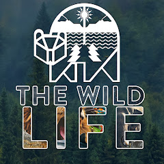 The Wild Life