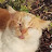 @amatterofcats