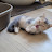 @로미쎄미자매의일상