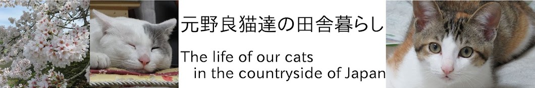 å…ƒé‡Žè‰¯çŒ«é”ã®ç”°èˆŽæš®ã‚‰ã—/Cat Family Living In Japan YouTube 频道头像