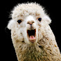 EpicXlama
