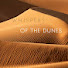 nJ-MqtnTiiE-channel-avatar-Whispers of the Dunes 