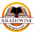 Brain Wise