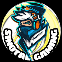 Sinotal Gaming profile image