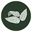 3T6hCSV_cjE-channel-avatar-Adelaide Hills Hedges