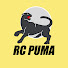 OPg-PMO4ONM-channel-avatar-RC PUMA