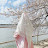 @HabibaElniny-n5q