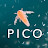 Picocosmos