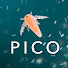 KpDNfG8bFAs-channel-avatar-Picocosmos