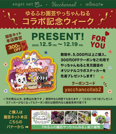 『ねこもようそん専用』スペシャルセット！ゆるふわ園芸やっちゃんねる YouTube