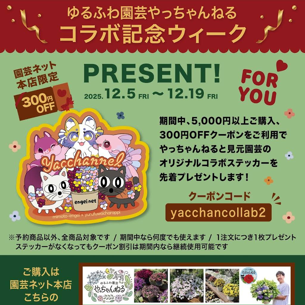 ゆるふわ園芸やっちゃんねる - YouTube