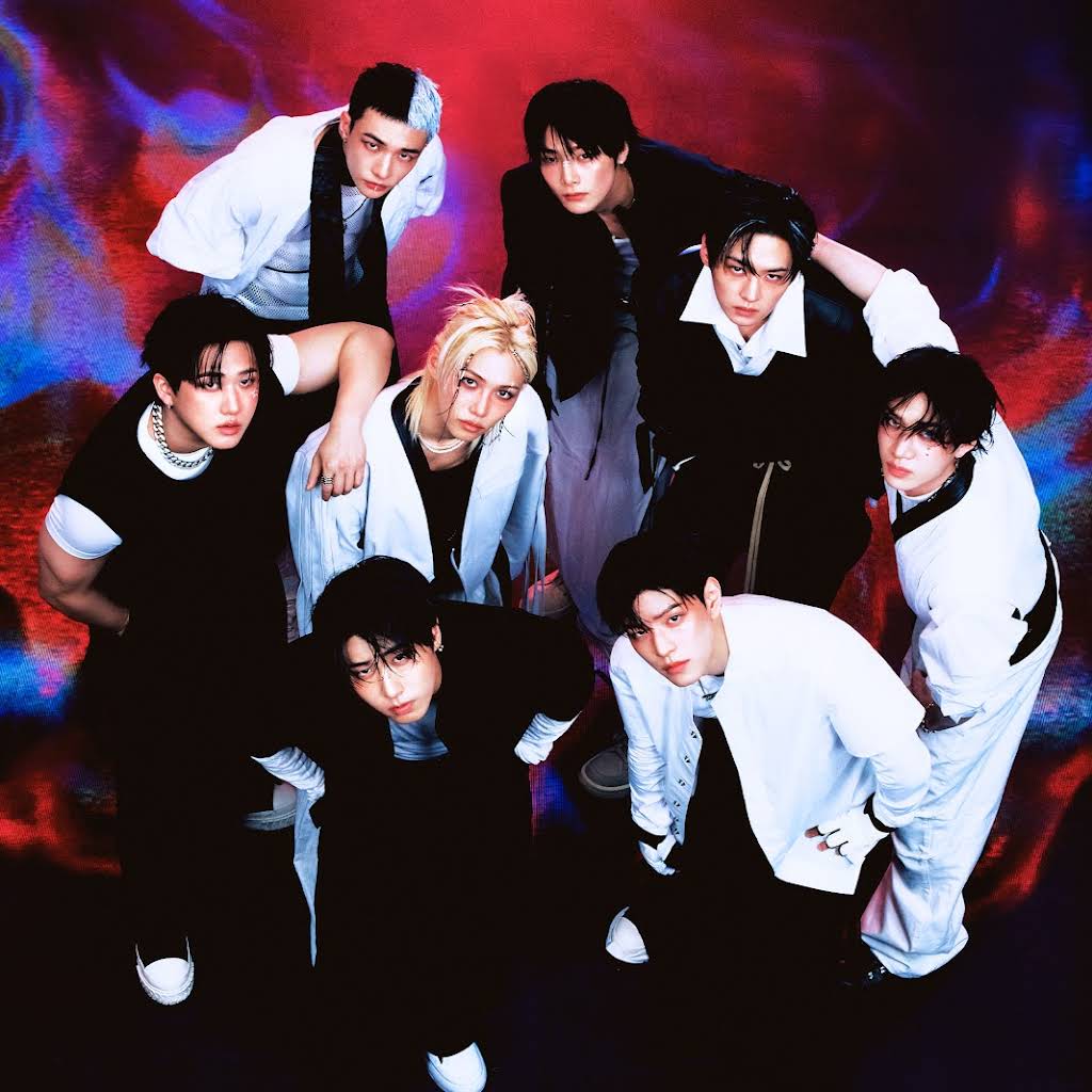 straykids KARMA CEREMONY サノク 逆サポート スローガン YouTube