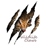 Wildlife Claws