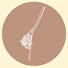 Fl6kD7lMq9U-channel-avatar-spaghettin